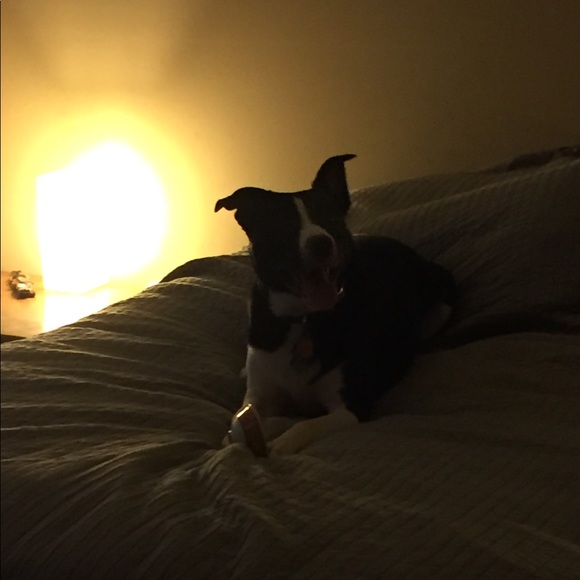 Meet your Posher, Shannon - Picture 1 of 1